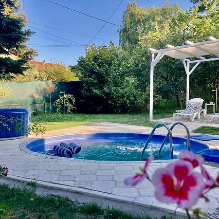 White House With Sauna And Jacuzzi نوفي ساد المظهر الخارجي الصورة