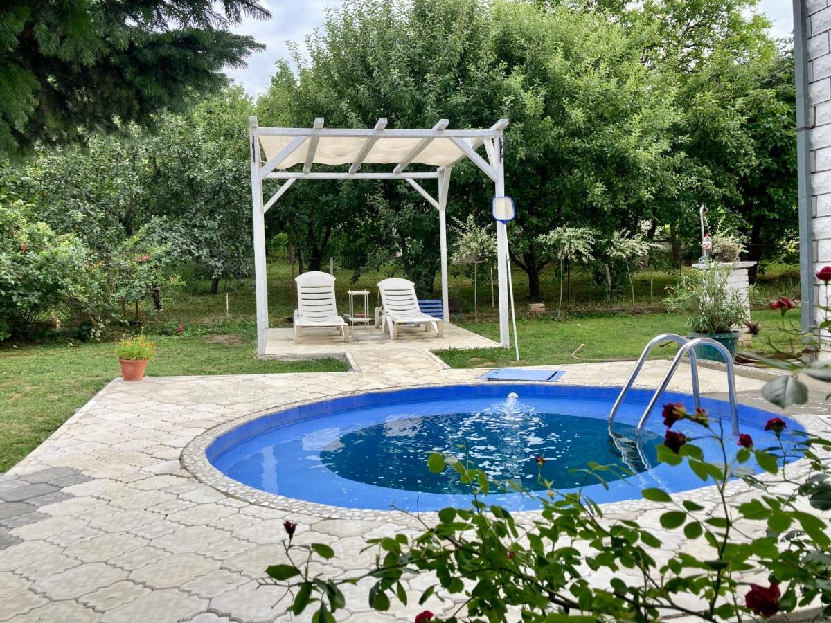 White House With Sauna And Jacuzzi نوفي ساد المظهر الخارجي الصورة