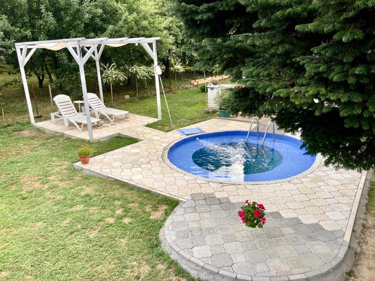 White House With Sauna And Jacuzzi نوفي ساد المظهر الخارجي الصورة