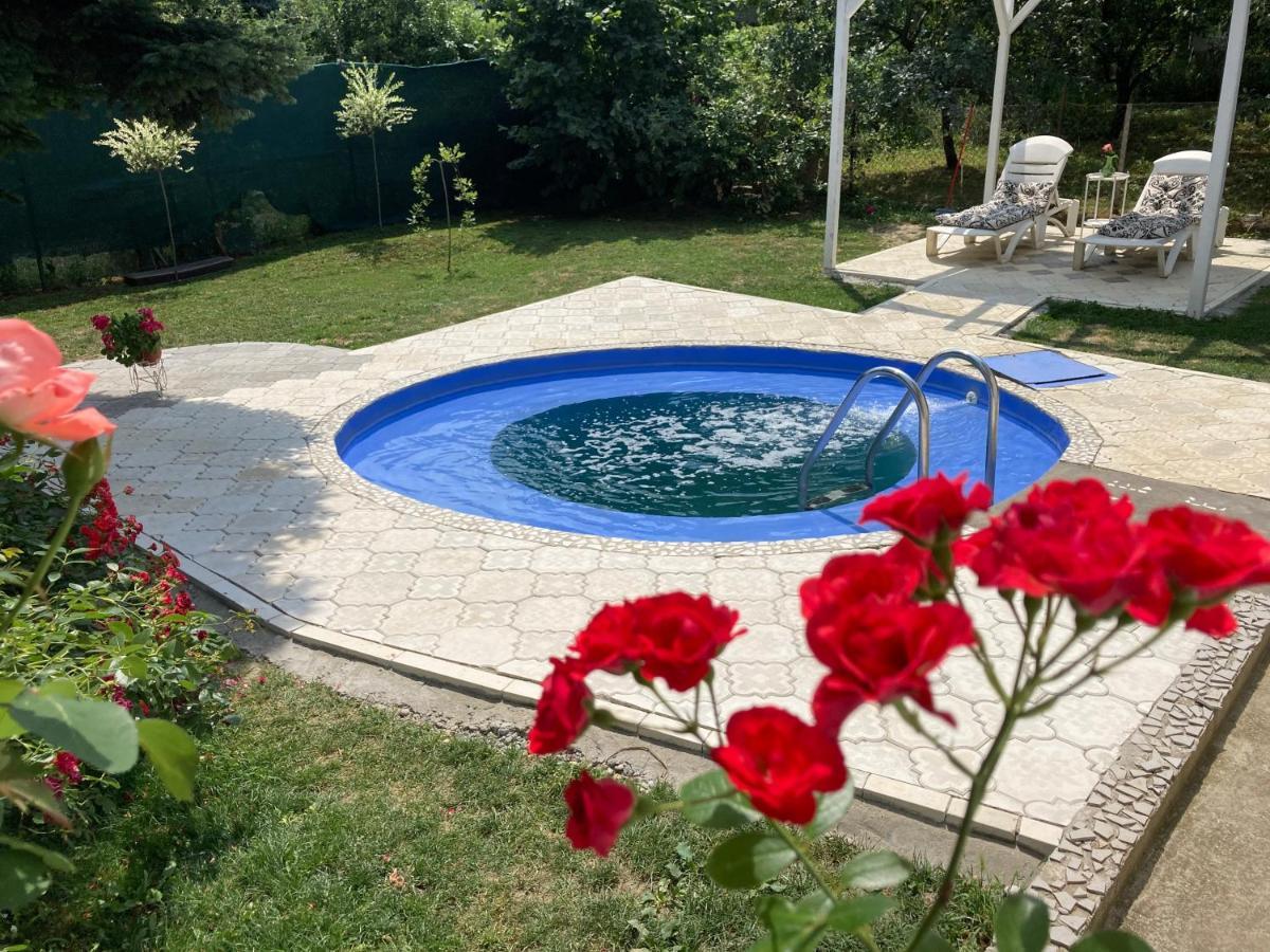 White House With Sauna And Jacuzzi نوفي ساد المظهر الخارجي الصورة