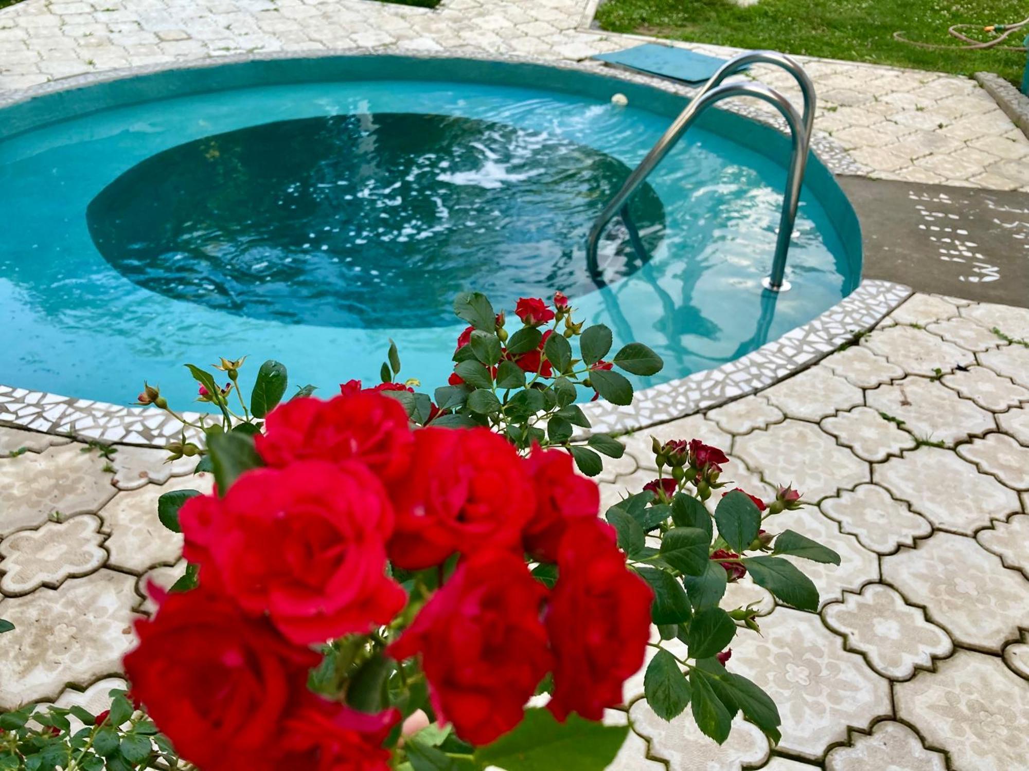 White House With Sauna And Jacuzzi نوفي ساد المظهر الخارجي الصورة